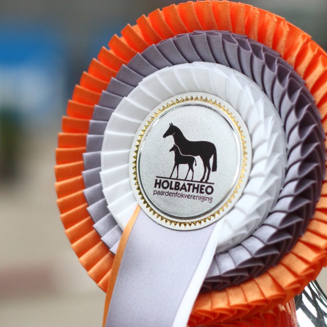 Kwaliteitsbeoordeling springen