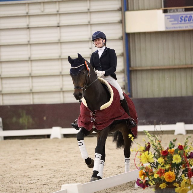 Horsefood Dressuur Talent